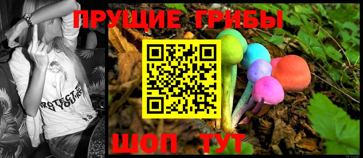 Псилоцибиновые грибы Psilocybine cubensis Азов